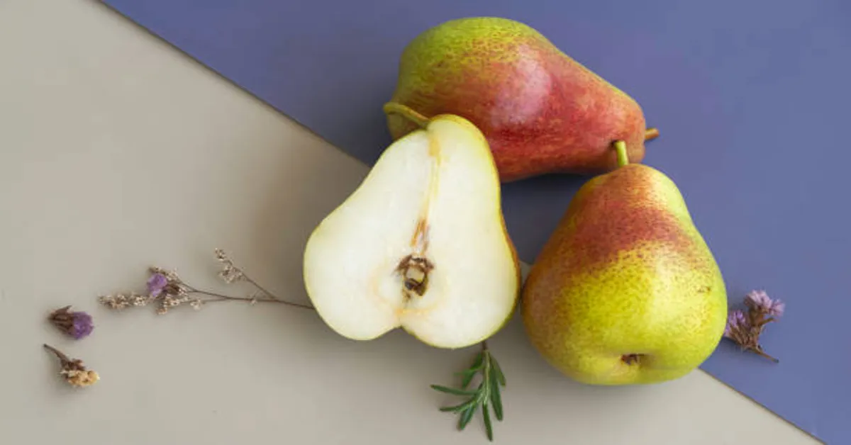 Navigator Pear