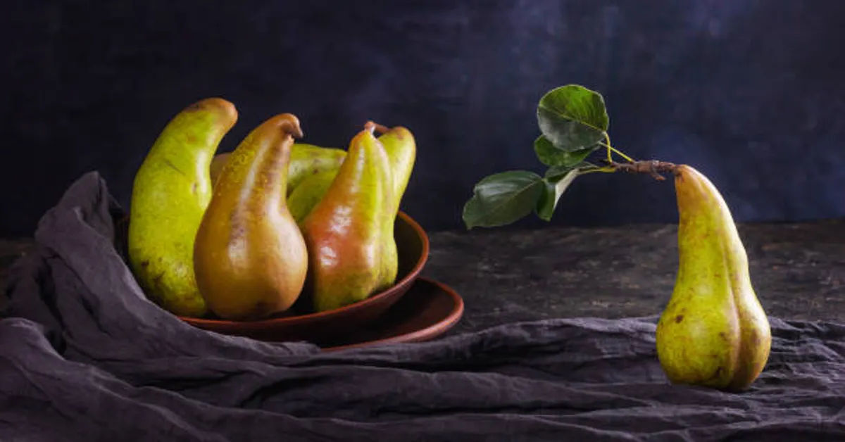 Navigator Pear